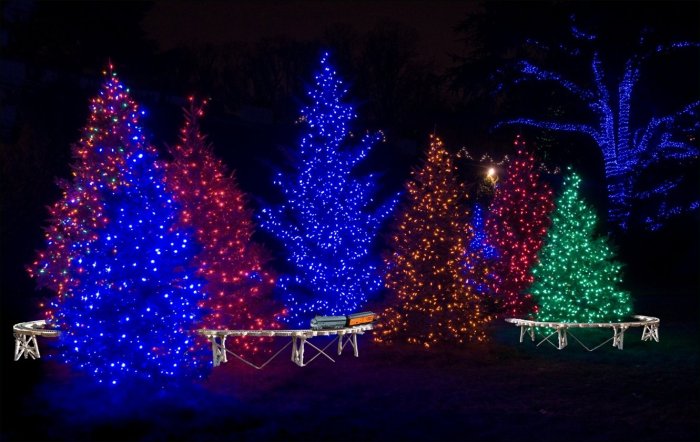 Новогодняя елка на улице