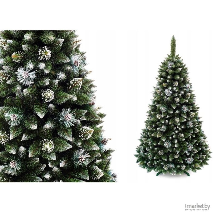 Triumph Tree ель Императрица с шишками заснеженная