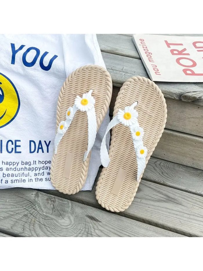 Терранова сланцы