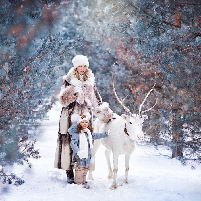 Фотосессия с оленем зимой