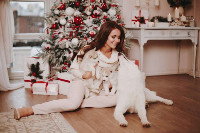 Фотосессия с щенками в студии