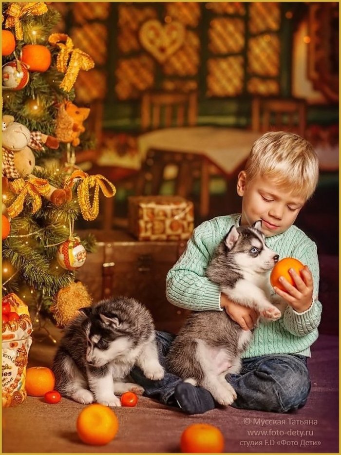 Новогодняя фотосессия с малышом и котом