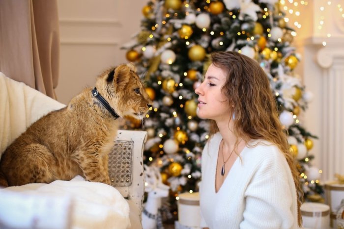 Новогодняя фотосессия с кошкой и хозяйкой