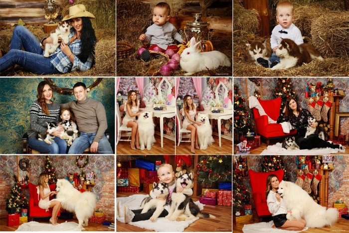Новогодняя фотосессия семейная с кроликом