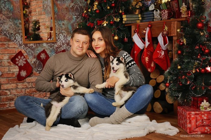 Фотосессия с хаски в студии