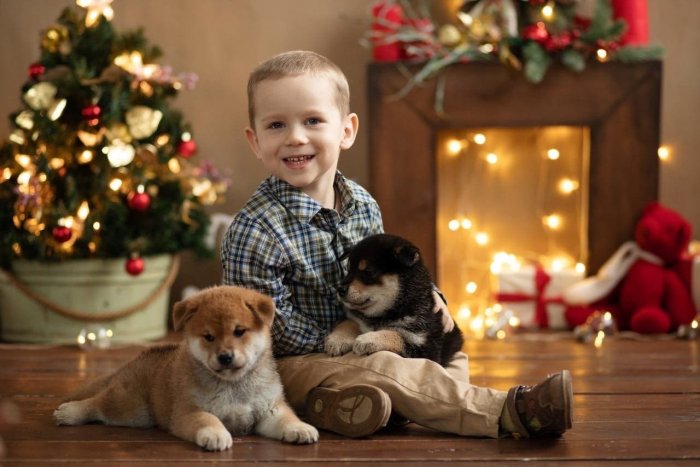 Фотосессия с домашними животными в студии