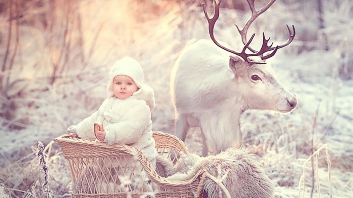 Елена Карнеева фотограф