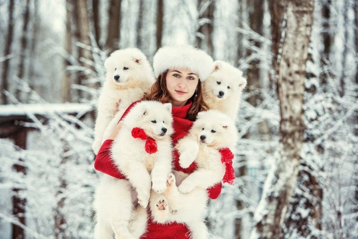 Умка фотопроект