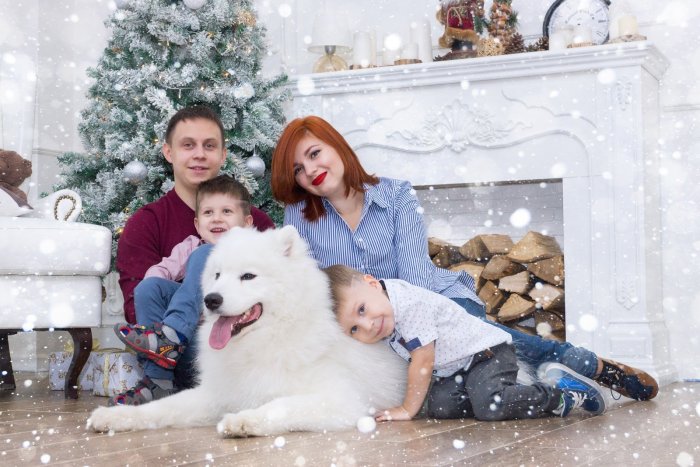 Новогодняя фотосессия семейная с собакой