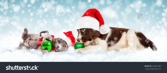 Новогодние открытки с собаками и кошками