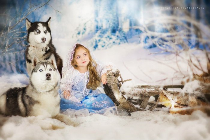 Зимняя фотосессия с животными