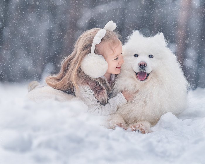 Самоед и дети