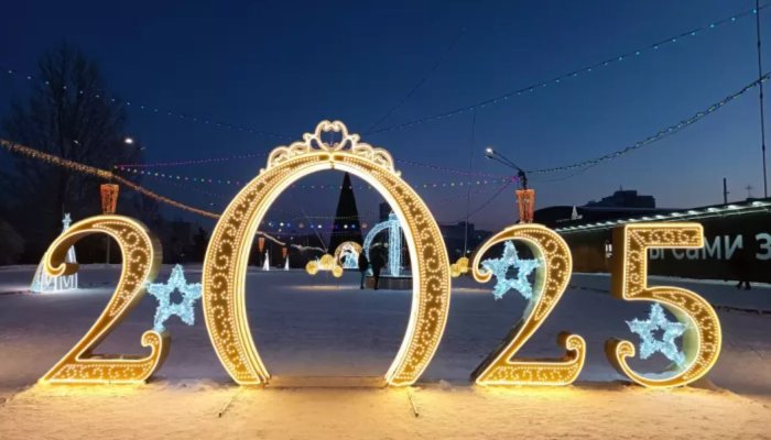 Новогодняя ночь 2025