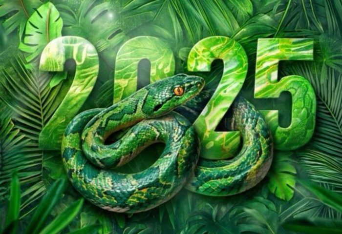 Новогодние картинки с символом 2025 года